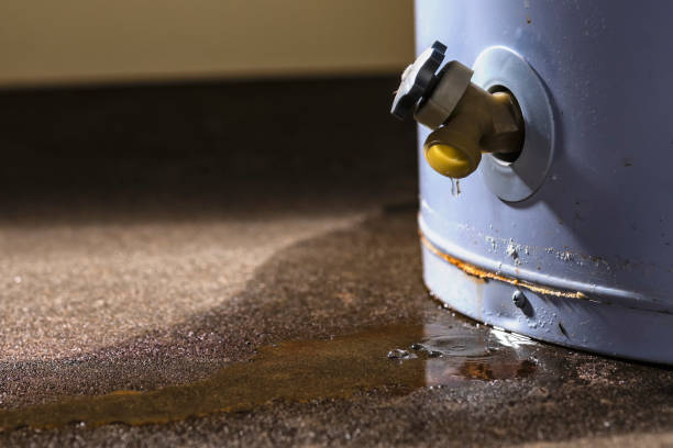 Best Residential water damage restoration  in Hagerstown, IN
