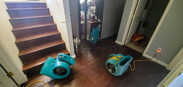 Best Emergency water damage restoration  in Hagerstown, IN