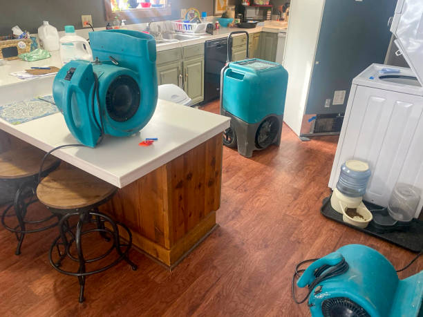 Best Flooded house restoration  in Hagerstown, IN