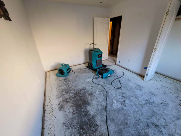 Best Water damage repair service  in Hagerstown, IN