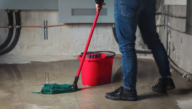 Best Sewage cleanup and water damage restoration  in Hagerstown, IN