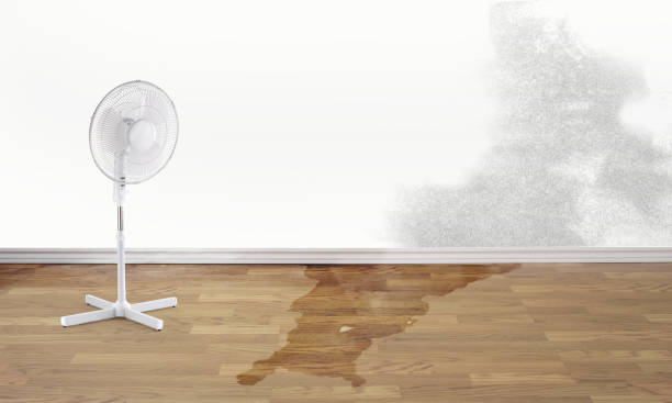 Best 24-hour water damage restoration  in Hagerstown, IN