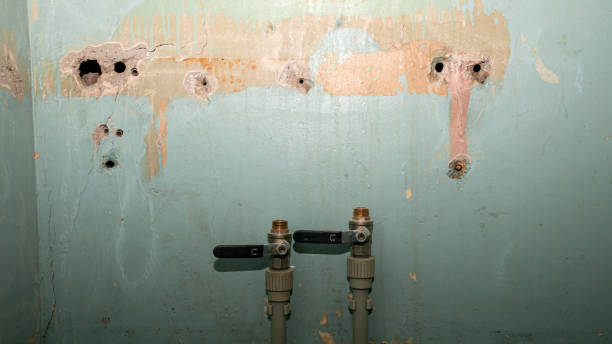 Best Flood restoration services  in Hagerstown, IN