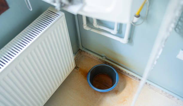Best Basement water damage restoration  in Hagerstown, IN